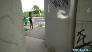 Public Agent - Csöcsös csoki csajszika pénzért közösül