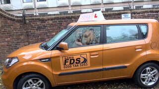 Fake Driving School - Tiffany Russo simán kufircol a jogsiért